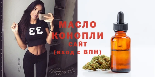 молекула духа Шарыпово