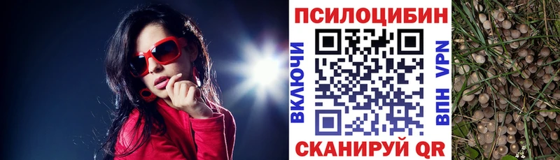 Псилоцибиновые грибы Psilocybine cubensis  Купить  Облучье 